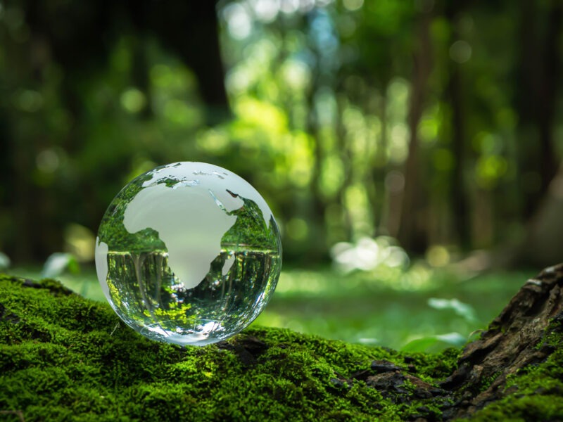 Sustainability, Umwelt